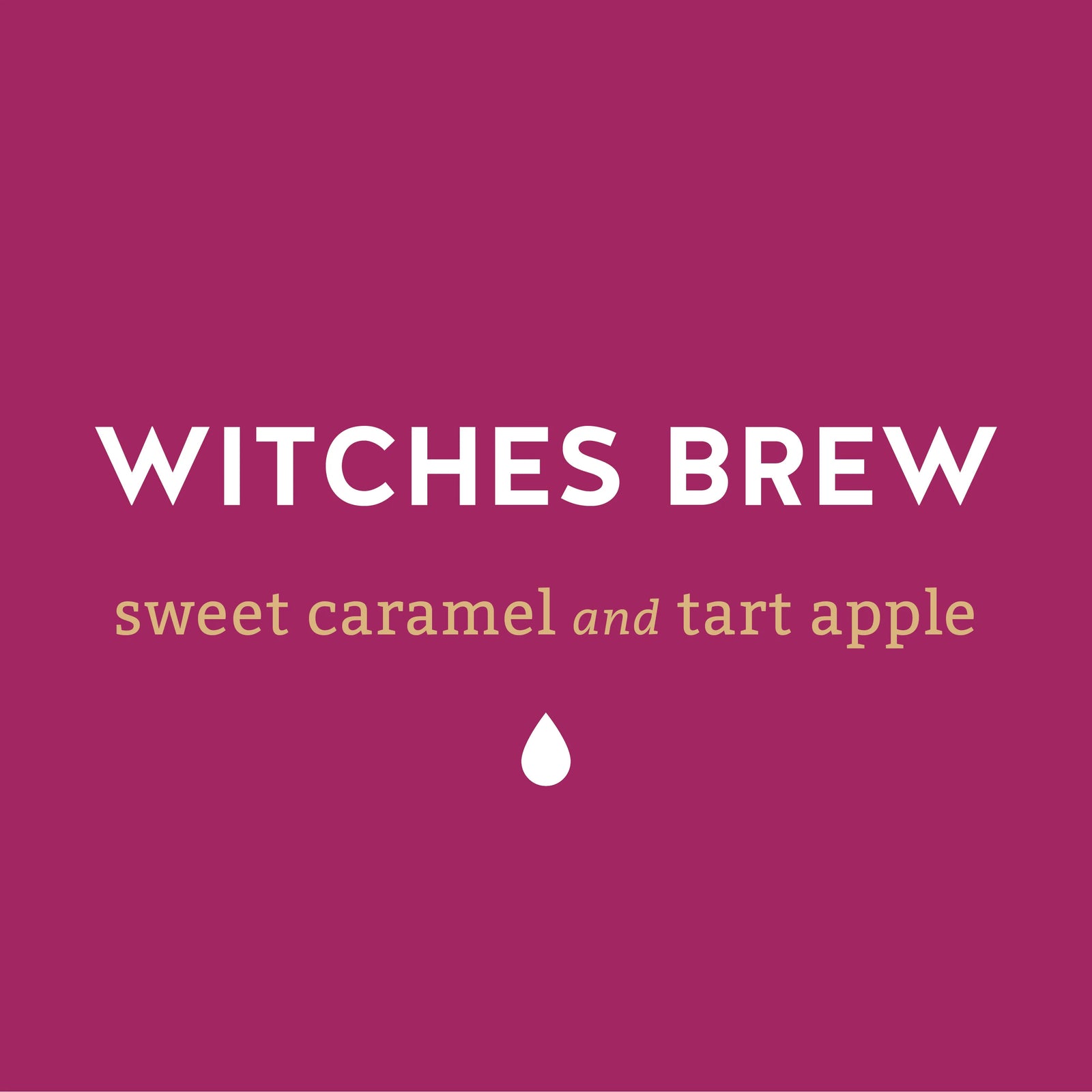 Lancaster County Coffee Roasters Ground Coffee - Flavored Lancaster Coffee Roasters Witches Brew 12 oz Coffee