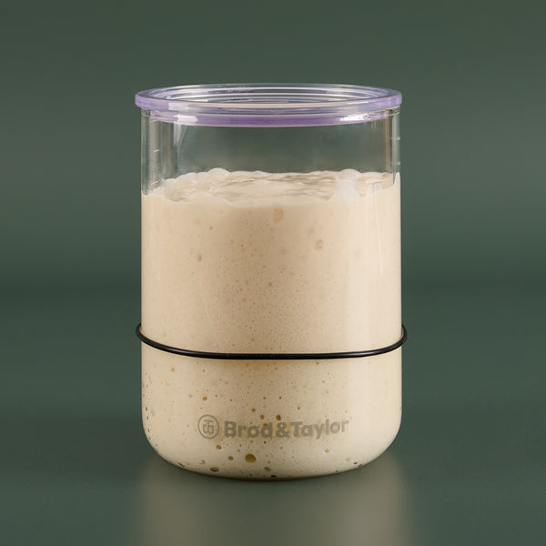 Brod & Taylor Specialty Electrics Brod & Taylor Sourdough Starter Jar