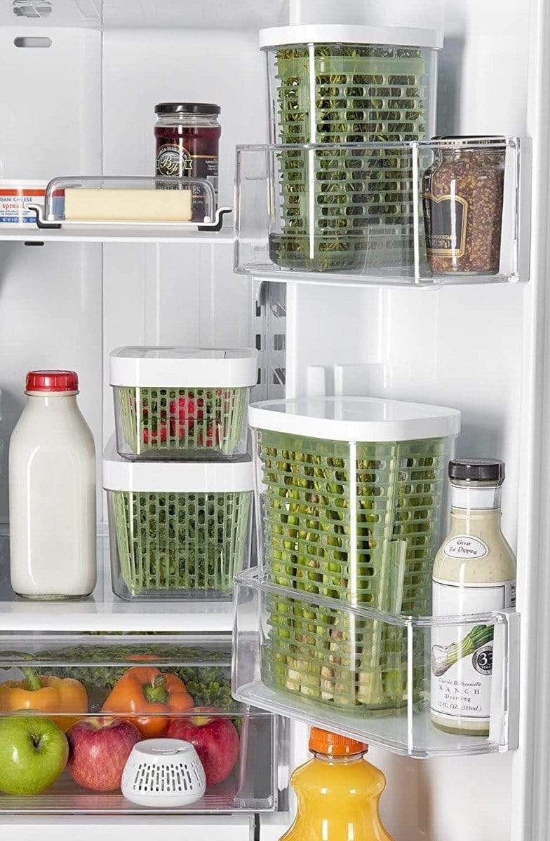 OXO Canisters & Dry Food Storage OXO GreenSaver Herb Keeper - Small