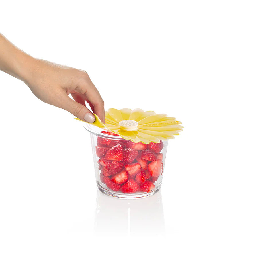 Charles Viancin Daisy Lid 6&quot; (Yellow)