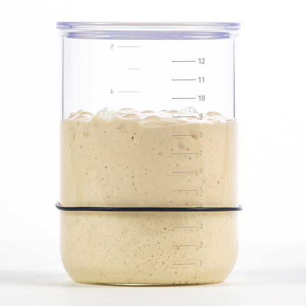 Brod & Taylor Specialty Electrics Brod & Taylor Sourdough Starter Jar
