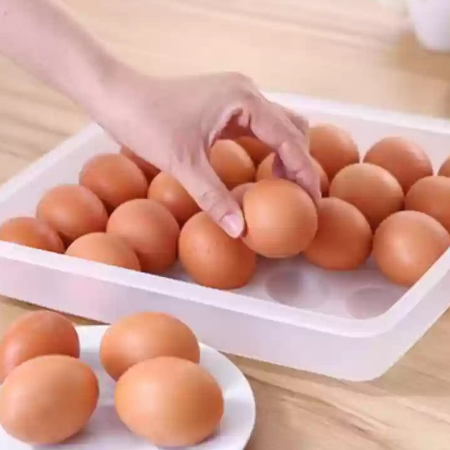 Omniware 24 Eggs Rectangle Plastic Food Storage Container with Lid