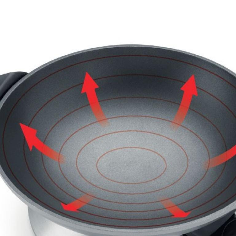 Breville Specialty &amp; International Cookware Breville Electric Hot Wok