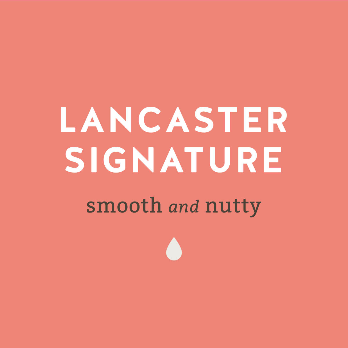 Lancaster County Coffee Roasters Coffee Lancaster County Coffee Roasters Lancaster Signature Whole Bean 12 oz