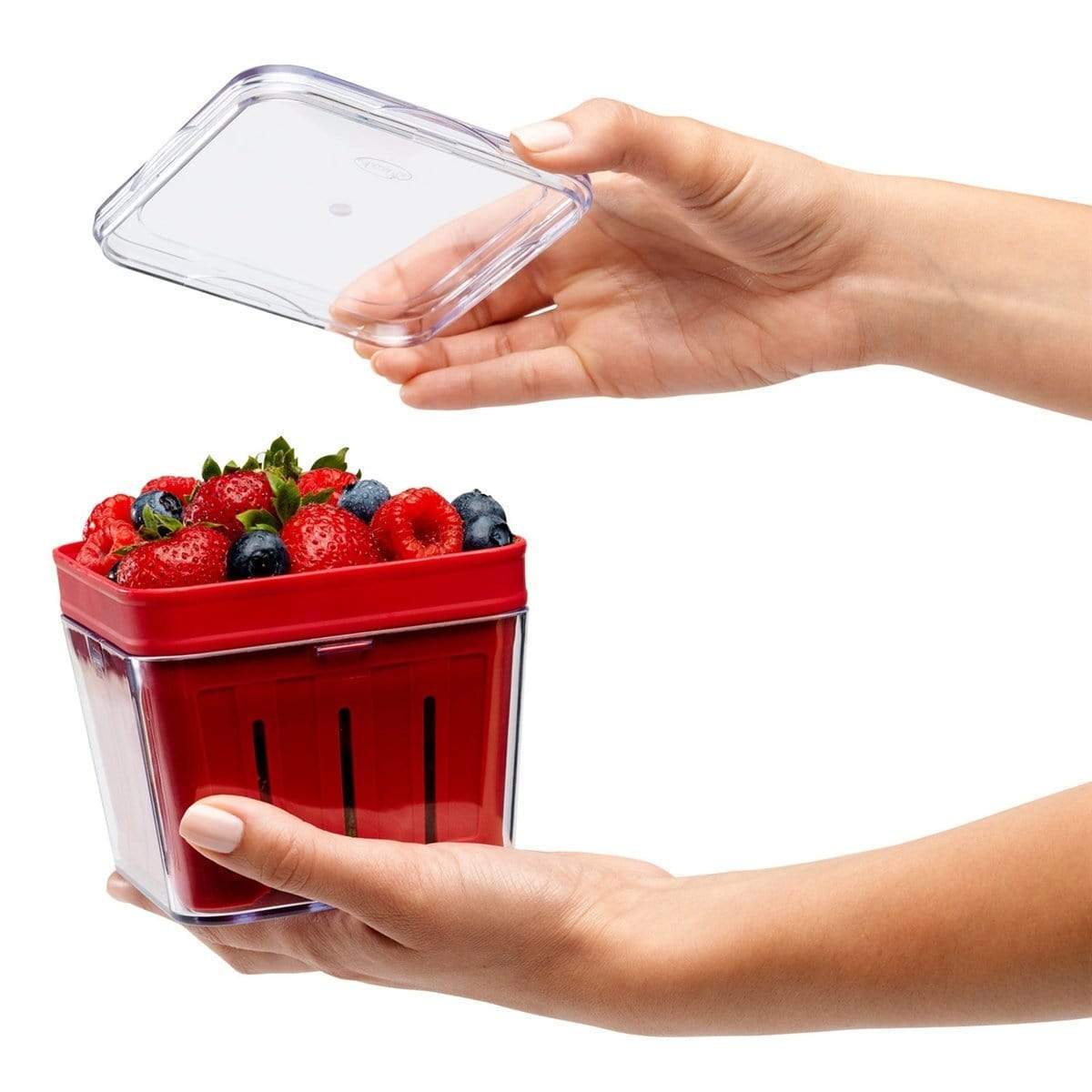 Kitchen & Company Countertop Organization Bramble Berry Basket