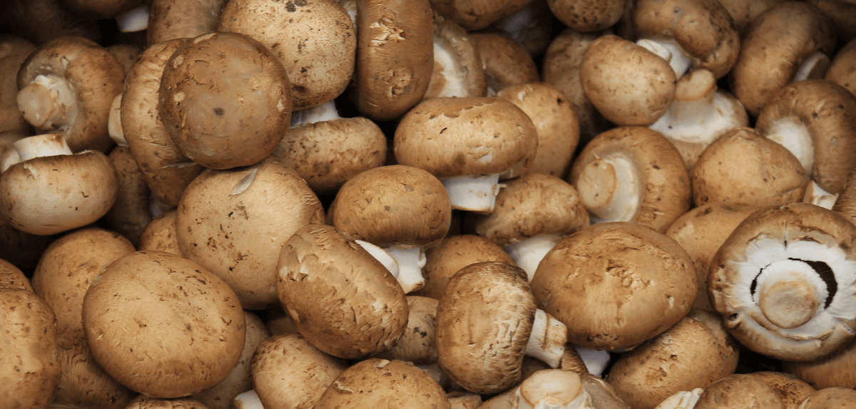 Crisp &amp; Co Crisp &amp; Co Savory Pickled Mushrooms 16 oz