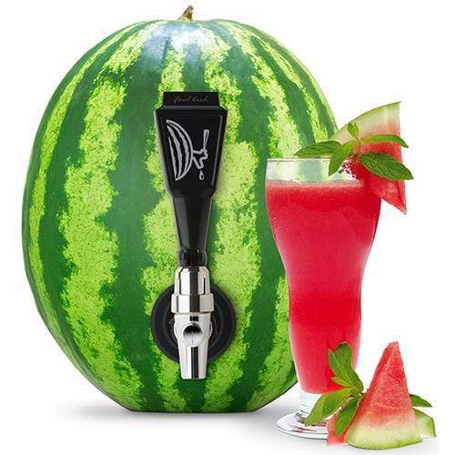 Kitchen &amp; Company Keg Kit Watermelon Keg Tapping Kit