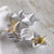 Mud Pie Bowl Mud Pie Starfish 4.5" Dip Bowl