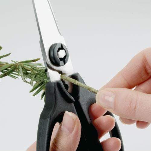 OXO Good Grips Kitchen and Herb Scissors - Reading China & Glass