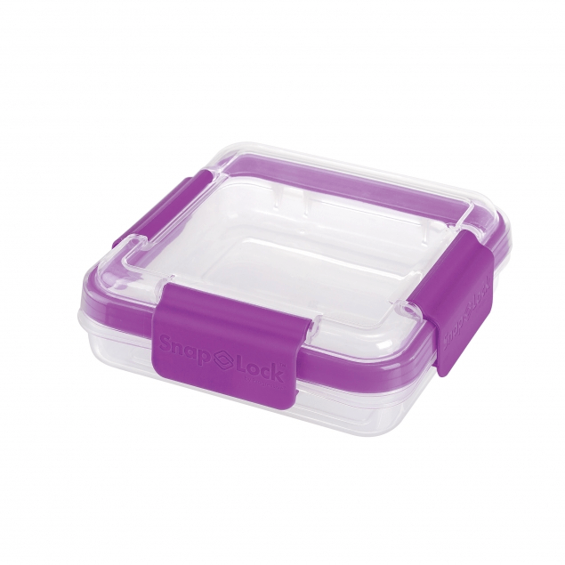 Progressive Snaplock Sandwich To-Go - Reading China & Glass