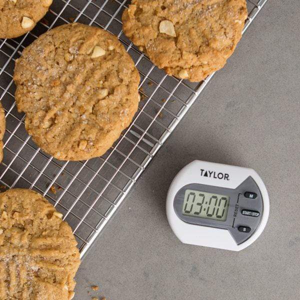 Taylor Timer Taylor Multi-Purpose Timer